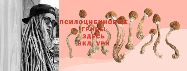 первитин Вязьма