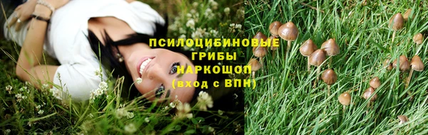 первитин Вязьма